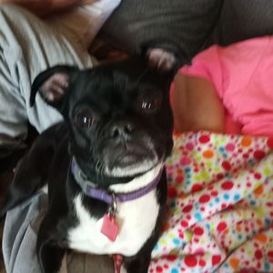 Meet your Posher, Jesse